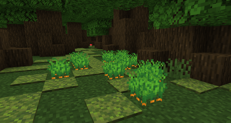 File:Carrots growing.png